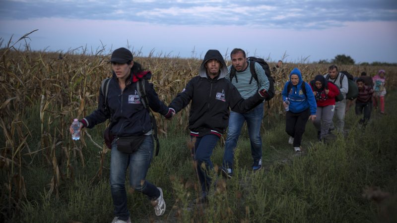 Schweden: 14.000 Migranten – einfach weg und nicht erfasst