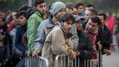 DIW-Präsident: Flüchtlinge rechnen sich spätestens nach sieben Jahren