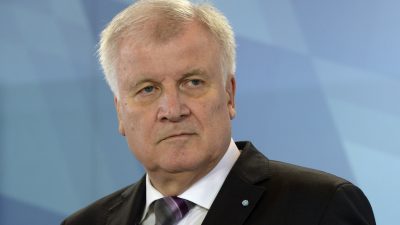 Trotz Kompromissbereitschaft: Seehofer treibt Verfassungsklage weiter voran