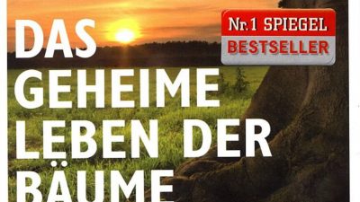 Der Baum- und Waldflüsterer Peter Wohlleben über „Das geheime Leben der Bäume“