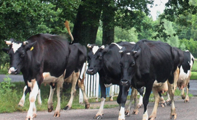 Umfrage: Deutsche misstrauen Milchbauern