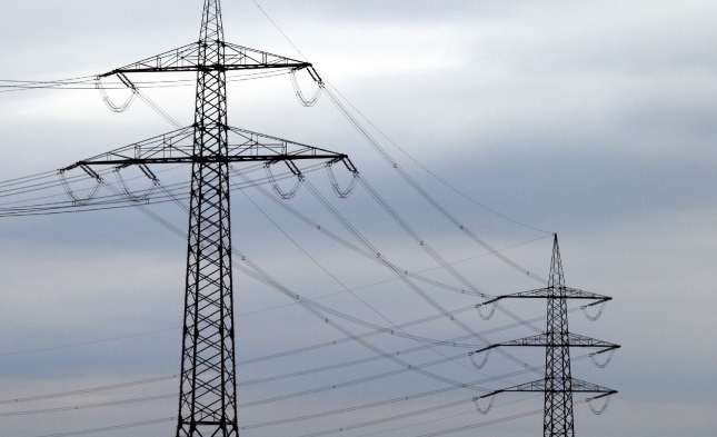 Grenzpreis für Strom 2014 um mehr als 3 Prozent gestiegen