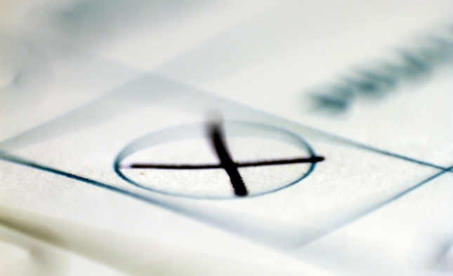 AfD kann zum Parteitag in Wählergunst zulegen