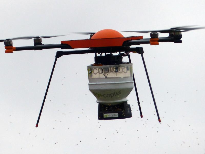 Mückenjäger testen Drohne mit Bekämpfungsmittel