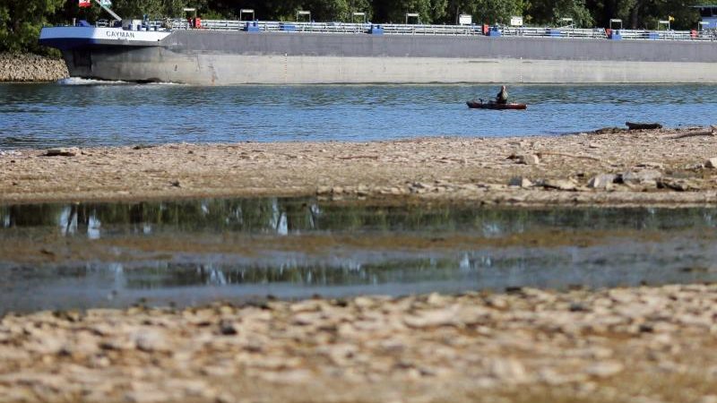 Niedrigwasser des Rheins sinkt immer weiter