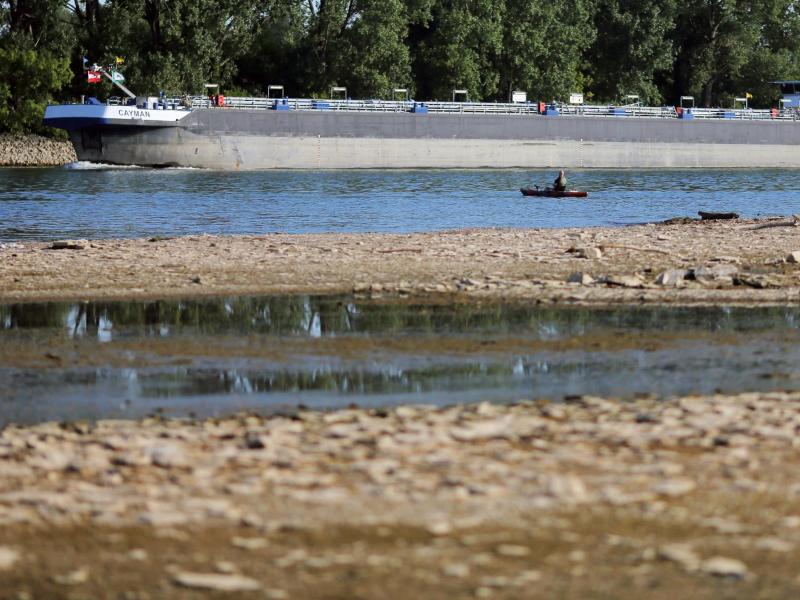 Niedrigwasser des Rheins sinkt immer weiter