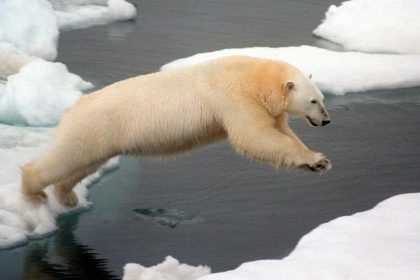 UNO startet Großprojekt zu besserer Klima-Vorhersage für die Polarregionen