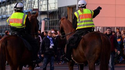 Nach Länderspiel-Absage: Profibetrieb geht weiter