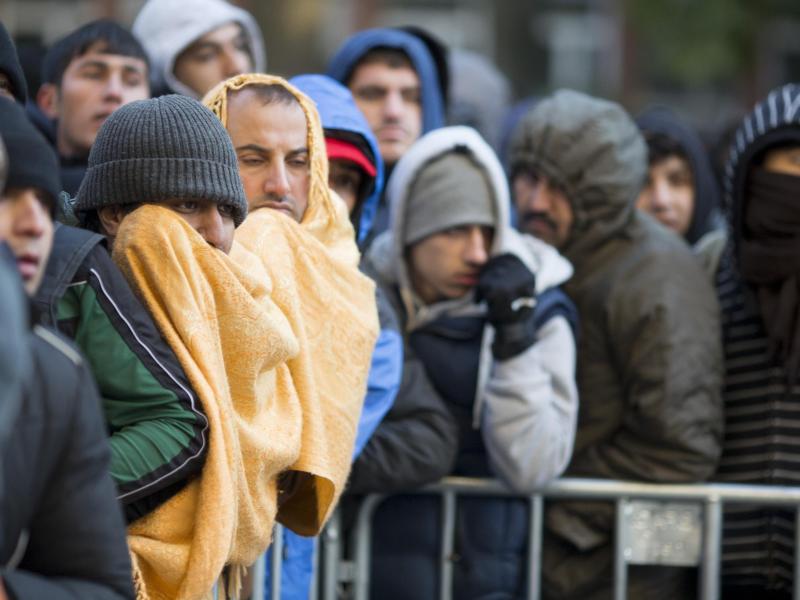 Fast eine Million offizielle Migranten in Deutschland