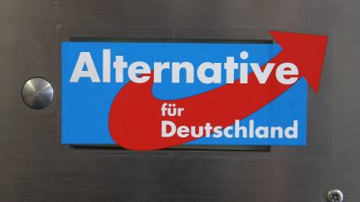 AfD-Finanznot: Schon 1,3 Millionen Euro Spenden gesammelt