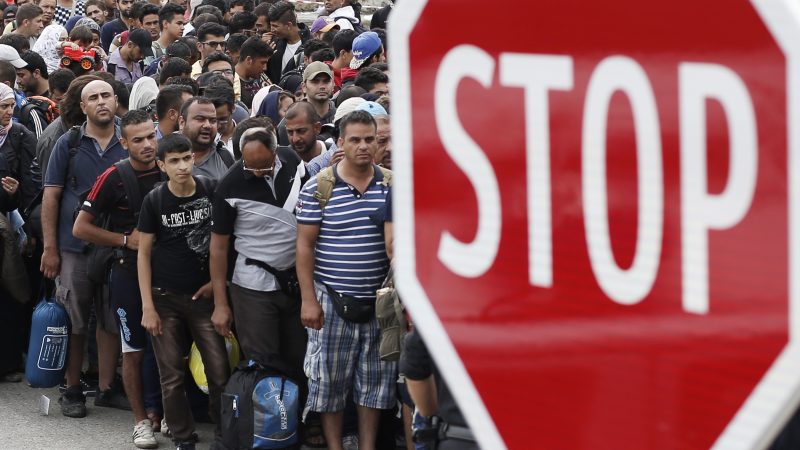 Sachsen-Anhalts Ministerpräsident: Union muss konkrete Flüchtlings-Zahl nennen