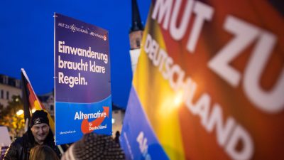 Emnid-Umfrage: AfD nach Gewaltserie wieder stärker