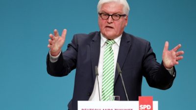 Steinmeier mahnt effektiveren Grenzschutz an