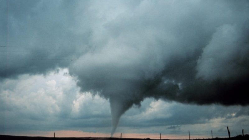 Mehrere Tote bei neuen Tornados in den USA
