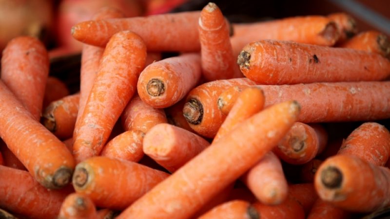 Agrarminister warnt vor Gesundheitsschäden durch veganes Essen