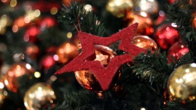 Adventszeit: 2014 fast 3 Millionen Weihnachtsbäume importiert