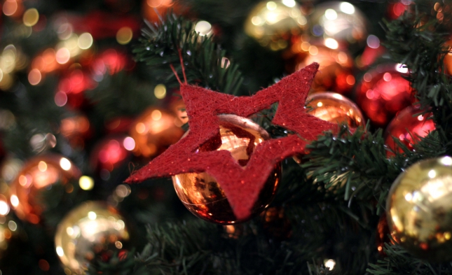 Adventszeit: 2014 fast 3 Millionen Weihnachtsbäume importiert
