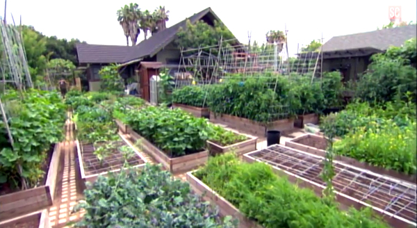 Familie betreibt auf 400 qm beeindruckende Stadtfarm – mitten in Los Angeles (+Video)