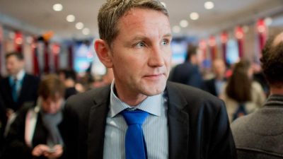 AfD-Vorsitzender Meuthen: Höcke schadet der Partei