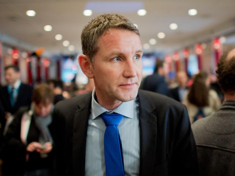 Höcke will offenbar AfD-Vorsitzender werden – wird der Thüringer AfD-Landeschef Petrys Nachfolger?