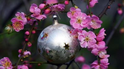 Wohl wärmstes Jahr 2015 mit Frühling statt Schnee zu Heiligabend