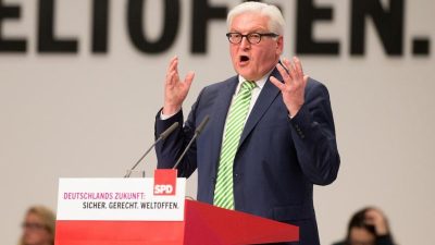 Steinmeier warnt vor «Brandstiftung» von rechts