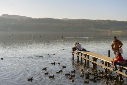 Weiter warten auf Winter