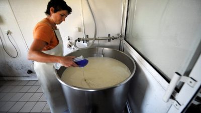 Rohmilch schützt Kinder vor Infektionen – kein Effekt bei H-Milch