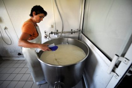Rohmilch schützt Kinder vor Infektionen – kein Effekt bei H-Milch