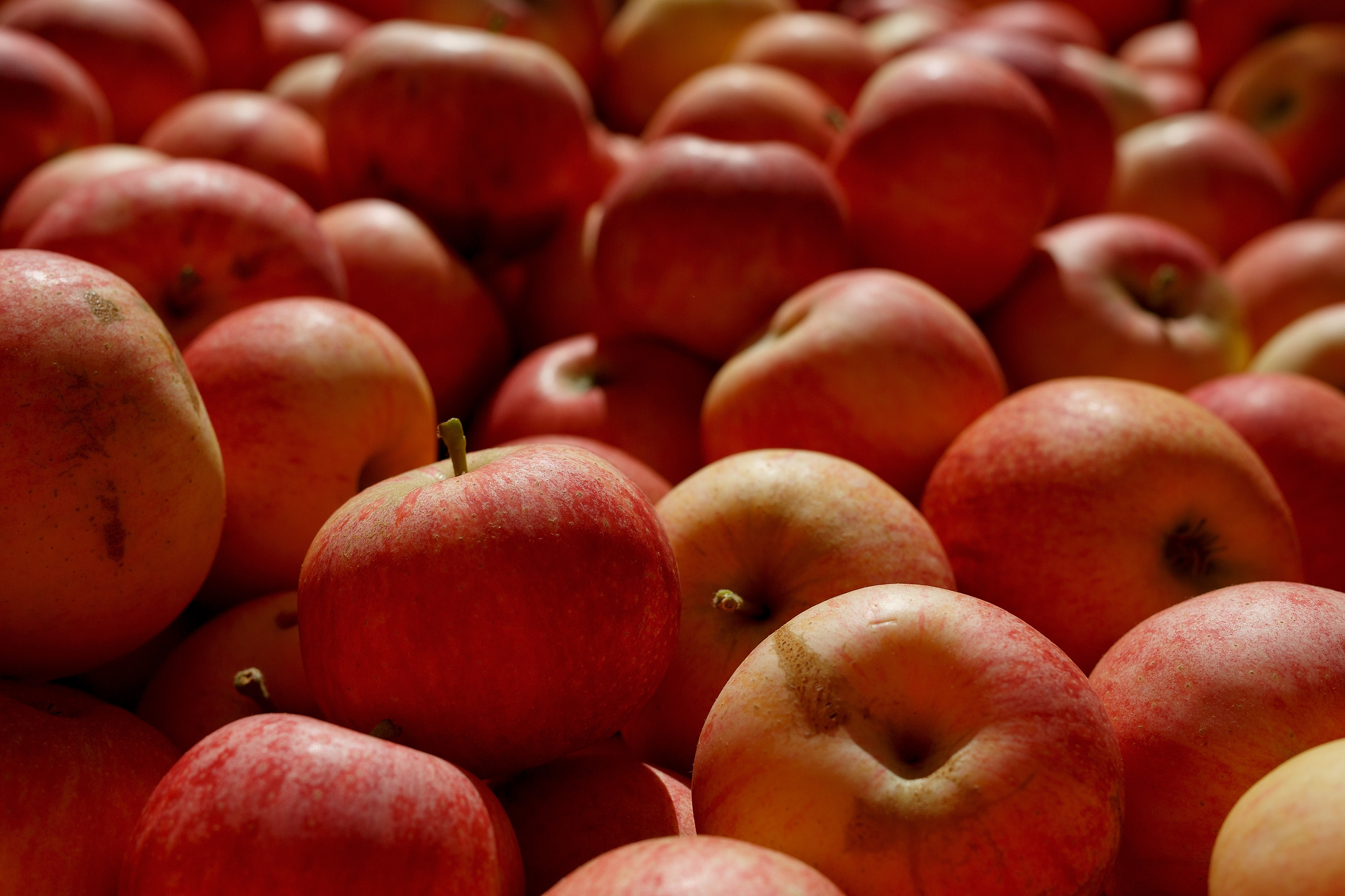 So einfach: Äpfel und Birnen beugen Schlaganfall vor