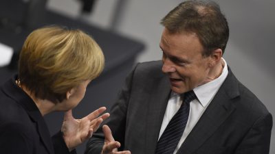 Oppermann: „Merkel trägt am Erstarken der AfD Mitschuld“