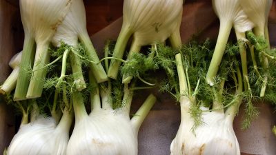 Fenchel macht schlank – und kann noch mehr!