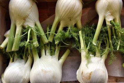 Fenchel macht schlank – und kann noch mehr!