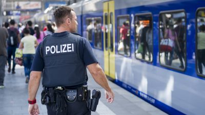 Kriminelle Gruppen überfordern Bundespolizei: „Wir sind am Limit“