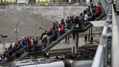 Dänemark: Bald wieder Passkontrollen an Grenze zu Deutschland möglich