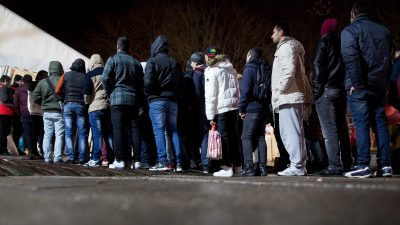 Weniger illegale Einreisen nach Deutschland über Österreich und die Schweiz