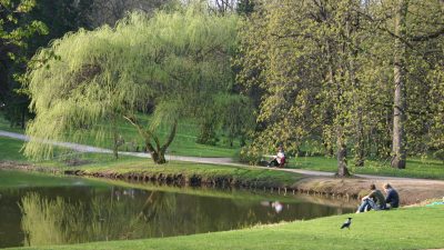 Die Natur und unser Bewusstsein