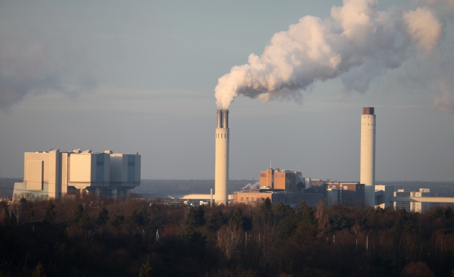 Grüne wollen schärfere Quecksilber-Grenzwerte für Kohlekraftwerke