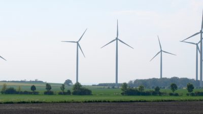 Studie: Rotmilanbestände leiden unter Windkraftausbau