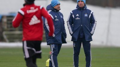 HSV-Training ohne Holtby und Spahic