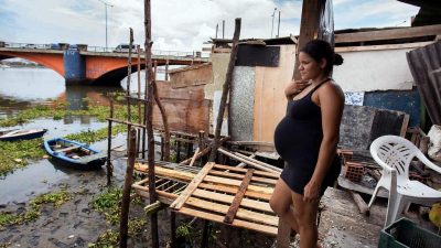 220 000 Soldaten sollen Zika-Mücke in Brasilien bekämpfen