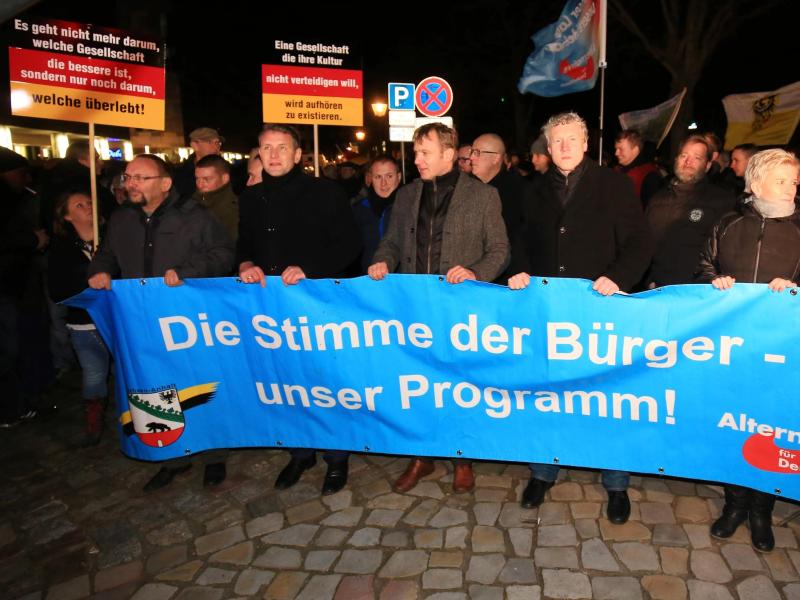 Journalisten bei AfD-Demo in Magdeburg angegriffen