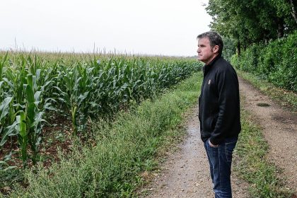 EU will Pflanzengift Glyphosat für weitere 15 Jahre zulassen