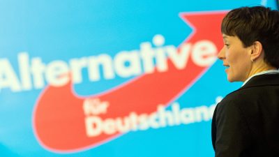 INSA-Umfrage: AfD überholt in Sachsen-Anhalt erstmals SPD – Grüne in Baden-Württemberg erstmals vor CDU