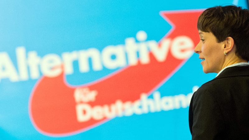 SPD-Innenminister: Verfassungsschutz soll AfD neu bewerten