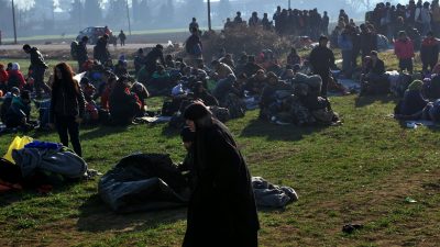 Flüchtlinge: Weniger als die Hälfte hat Aussicht auf Schutz