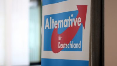 Sachsen-Anhalt: AfD in neuer Umfrage bei 17 Prozent