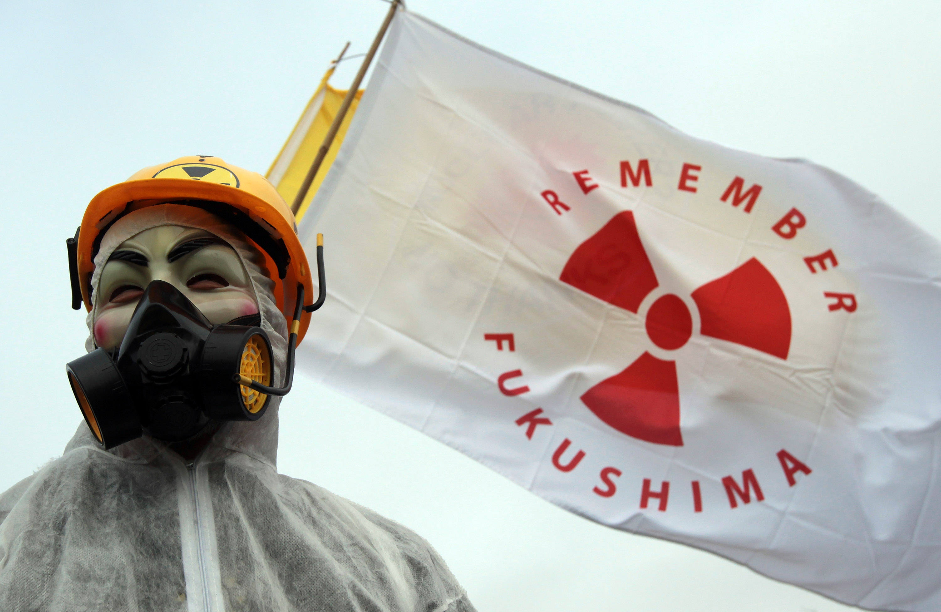 Alles wegen Plutonium für Atombomben: Japaner singen noch lange ein Lied von kontaminierten Zedernpollen
