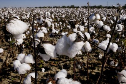 Monsantogift Glyphosat in Tampons, Damenbinden und steriler Gaze gefunden