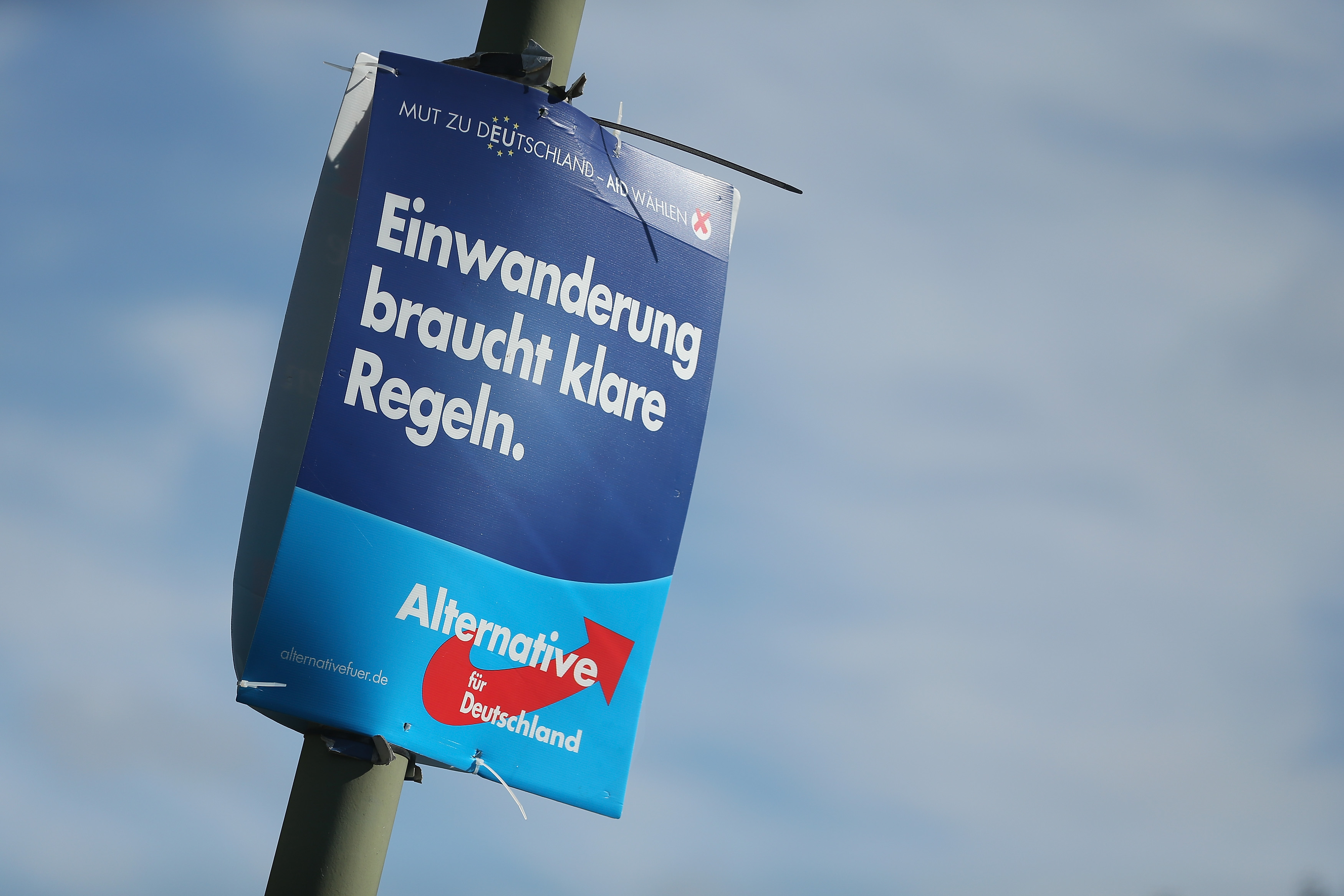 Umfrage zu Landtagswahlen: In Anhalt AfD weiterhin vor SPD